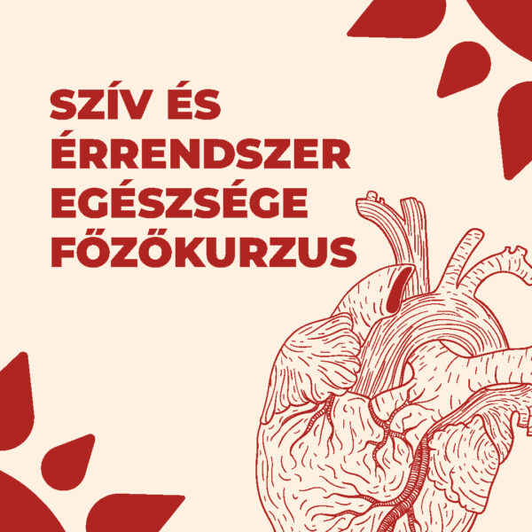 Szív és Érrendszer Egészsége Főzőkurzus