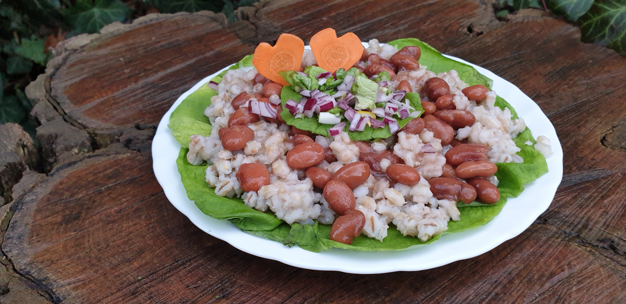 Jó Fehérjék a Mindennapokban Főzőkurzus - Image 18