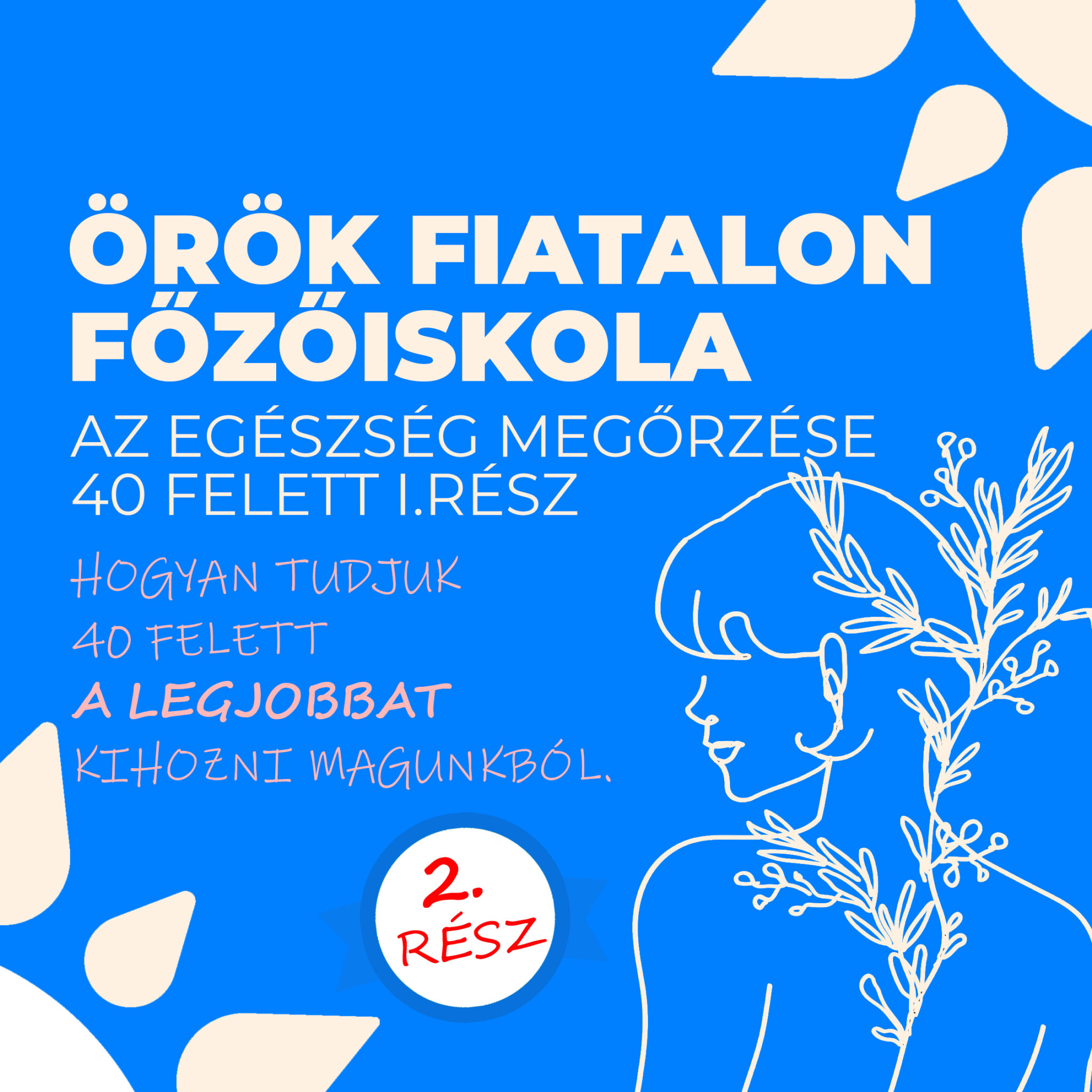 ÖRÖK FIATALON - Az egészség megőrzése 40 felett főzőiskola - II.rész Téma: 40 felett egészségesen, tele vitalitással